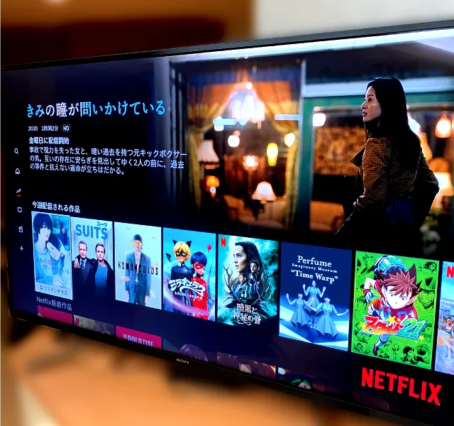 Netflix・Youtube・アベマTV画面の様子②